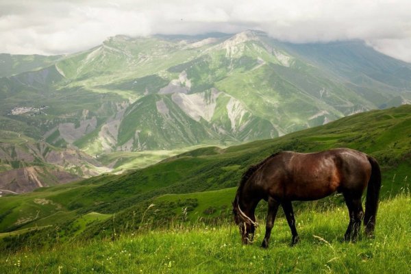 Дагестан горный природа Кавказа
