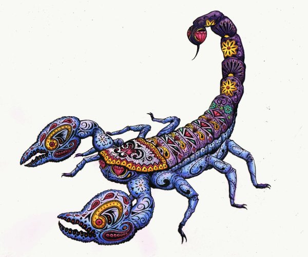 Скорпион иллюстрация