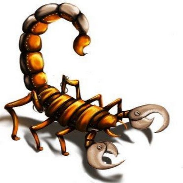 Мультяшные Скорпионы