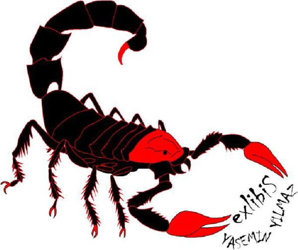 Нарисовать скорпиона