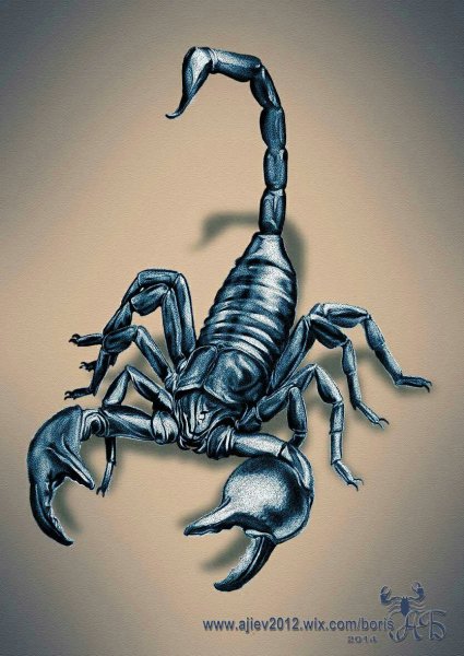 Скорпион эскиз