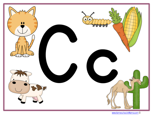 Слова на букву c на английском