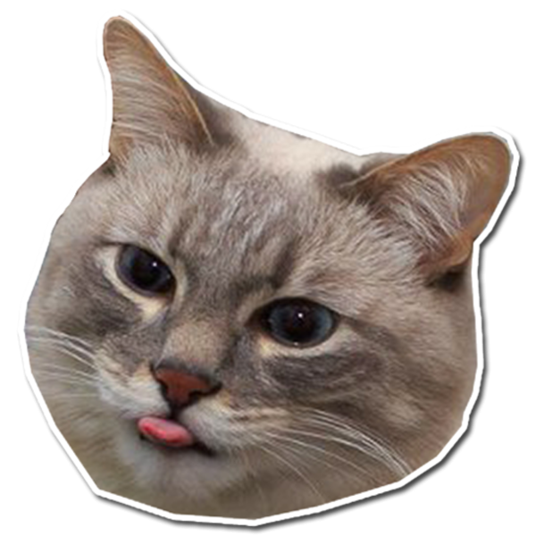 Кот 512x512