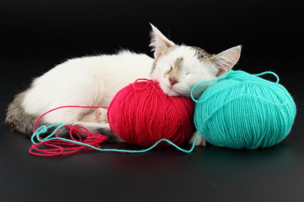 Клубок из ниток