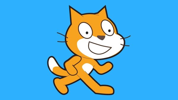 Котята для скретча