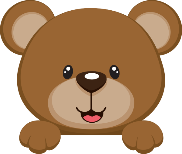 Мордочка медведя