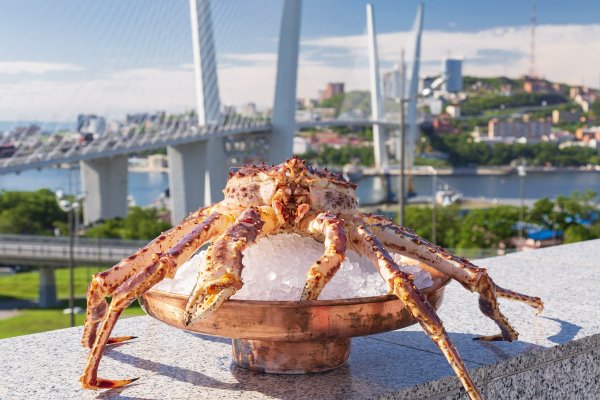 Камчатский краб Владивосток