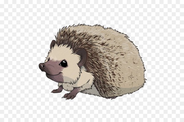 Ежик векторный