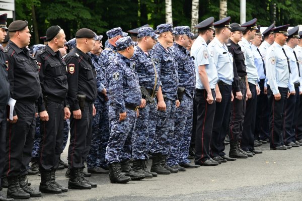Полиция РФ