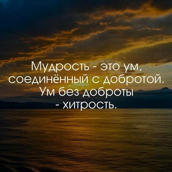 Мудрые цитаты