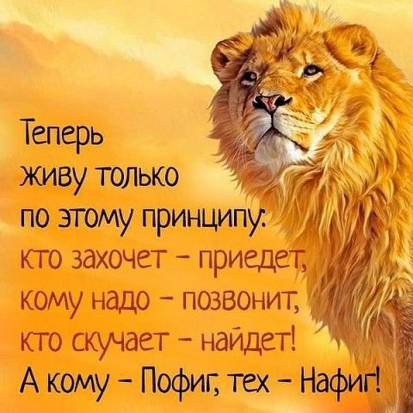 Красивые высказывания в картинках