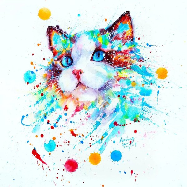 Кот абстракция