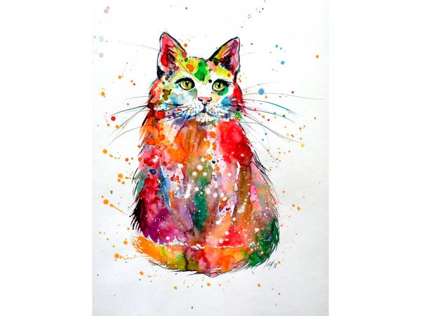 Кот разноцветный по номерам