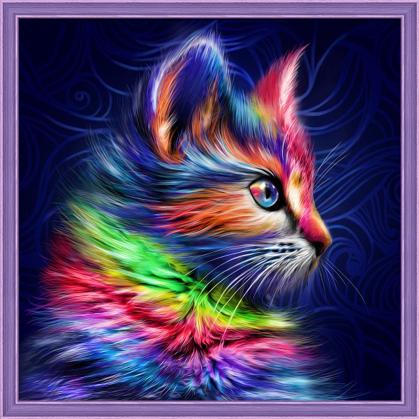 Разноцветная кошка
