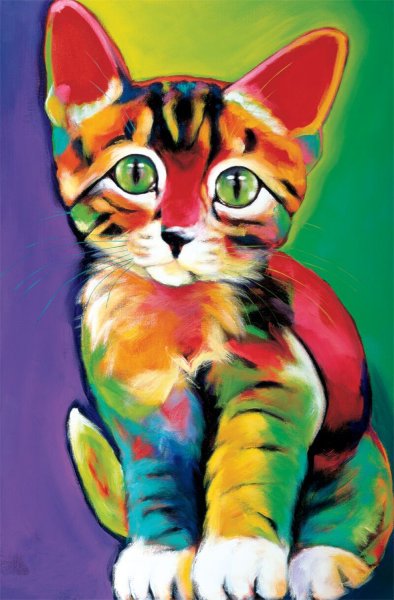 Разноцветная кошка