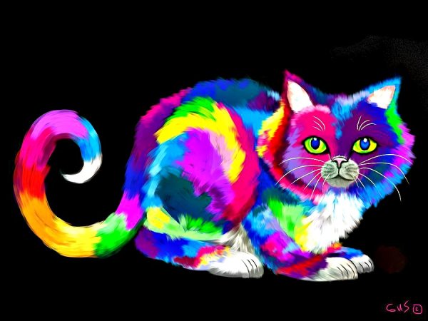 Разноцветная кошка