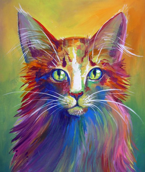 Разноцветная кошка