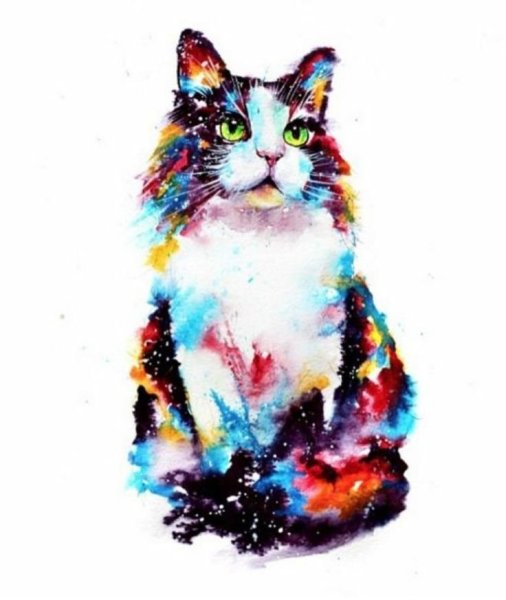 Кошки цветные