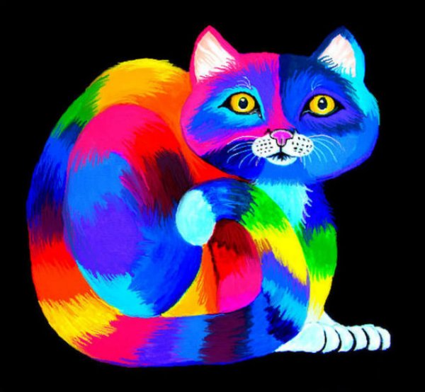Радужная кошка