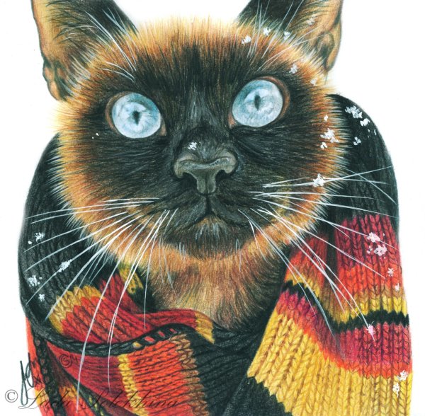 Кошка цветными карандашами