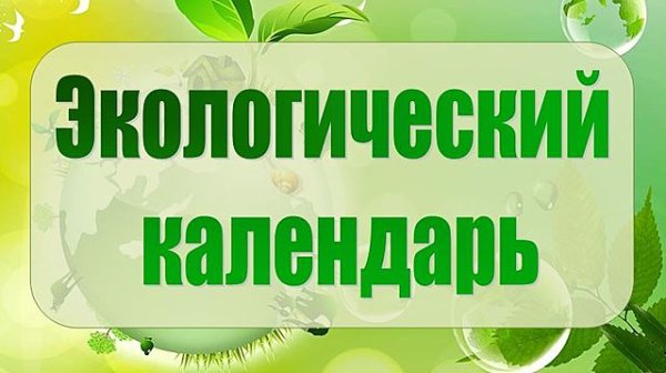 Экологический календарь