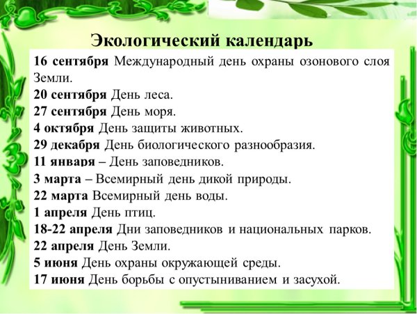 Экологический календарь рисунок