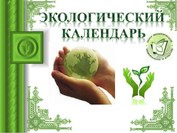 Календарь экологических дат