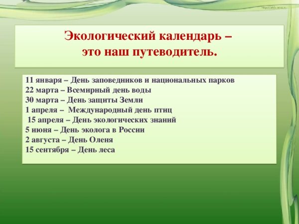 Экология для детей дошкольного возраста