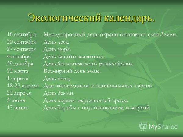 Экологический календарь