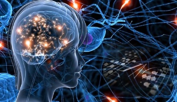 Возможности мозга