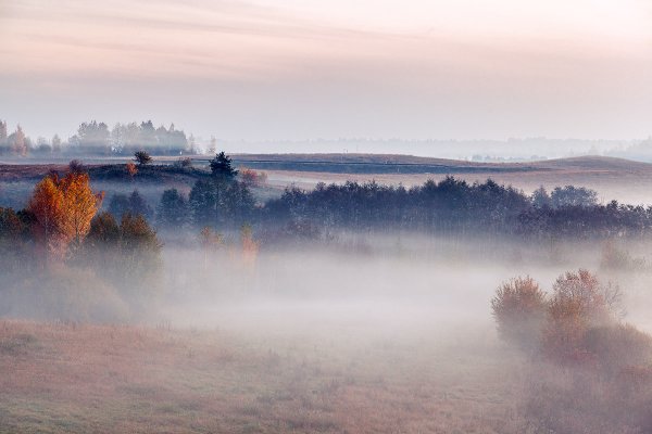 Осень туманное утро
