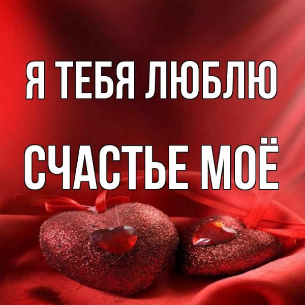 Я тебя люблю