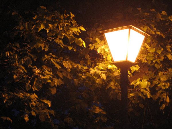 Ночной фонарь картинки (50 фото)