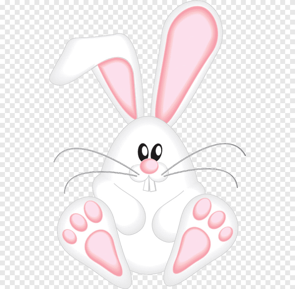 Зайка вектор