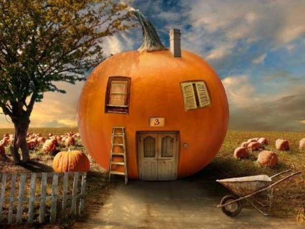 Домик из тыквы