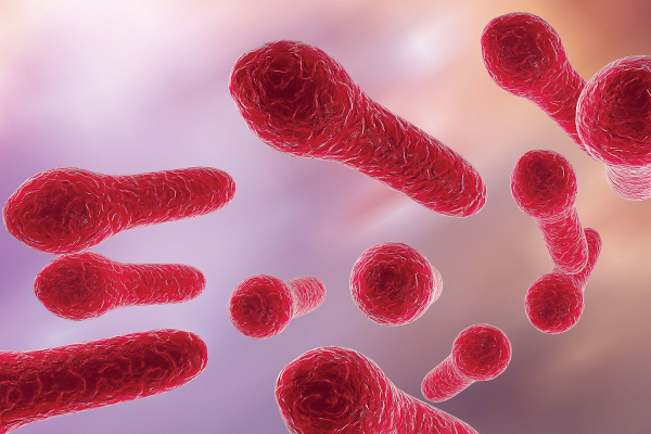 Бактерией Clostridium tetani