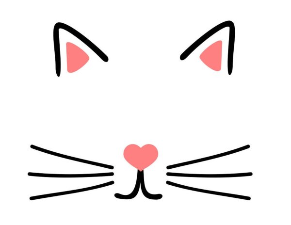 Усики кошки