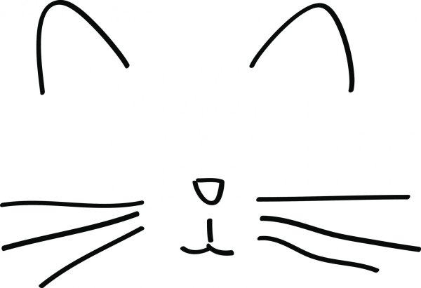 Усики котика
