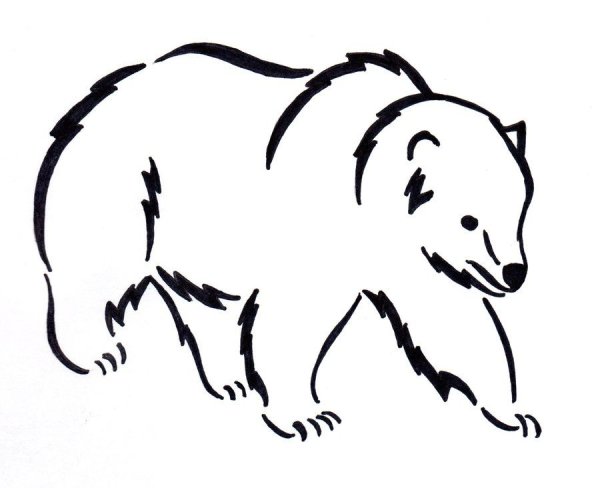 Графический картинки медведя (50 фото)