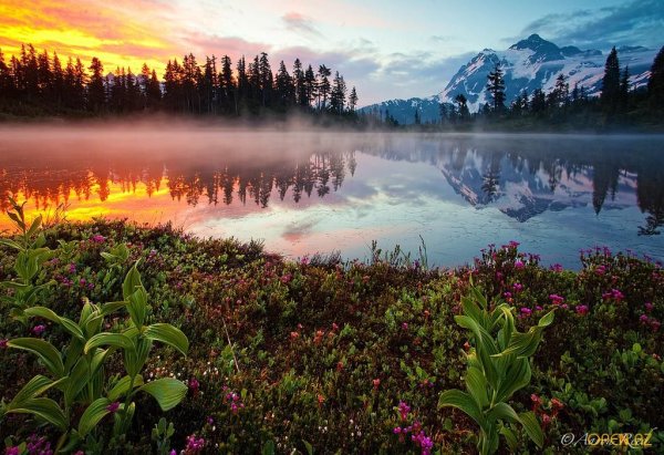 Чудесный мир природы