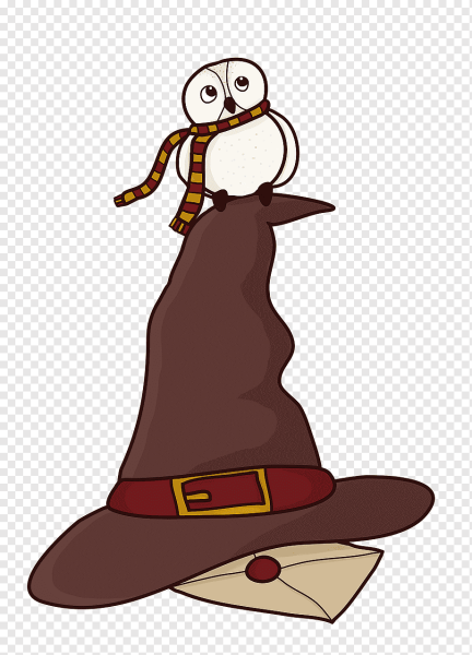 Гарри Поттер в шляпе волшебника