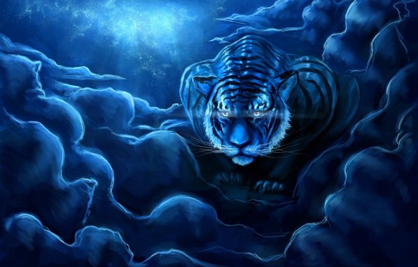 Картинки водяной тигр (50 фото)