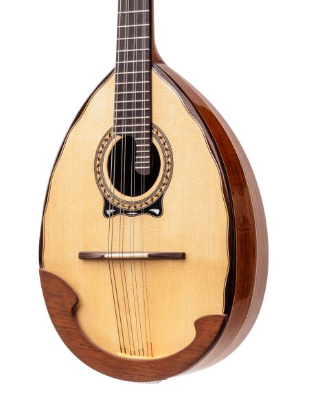 Мандолина струнные Щипковые музыкальные инструменты