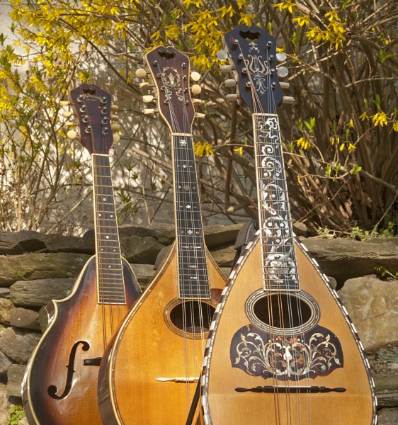 Мандолина Старая