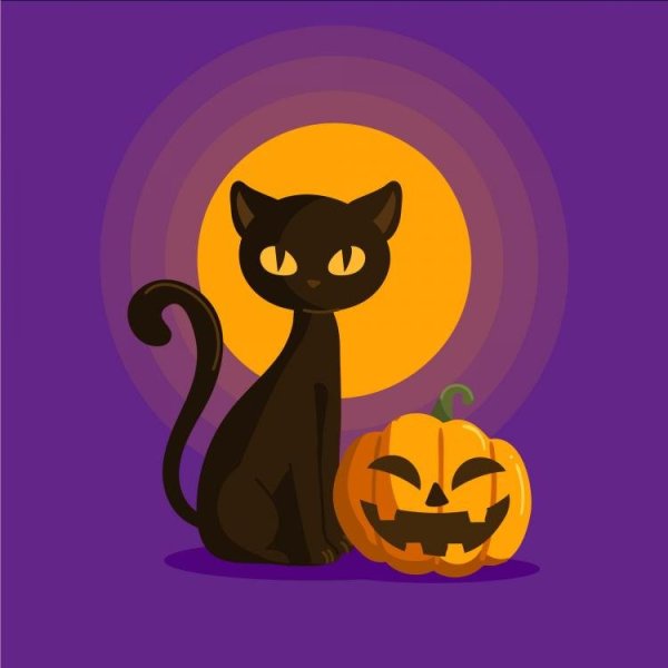 Черная кошка на Хэллоуин