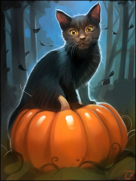 Ведьминский кот