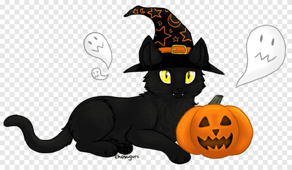 Кот на Хэллоуин рисунок