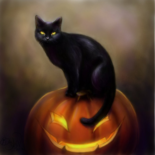 Хэллоуинская кошка картинки (48 фото)