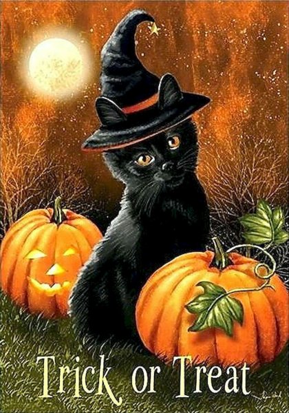 Хэллоуин кошка
