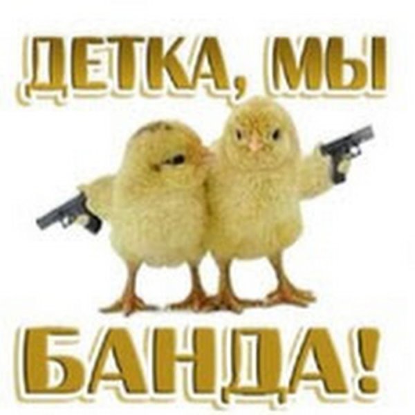 Банда надпись
